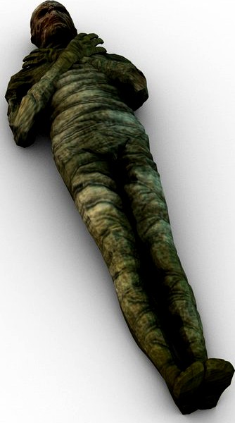 Mummy corpse3d model