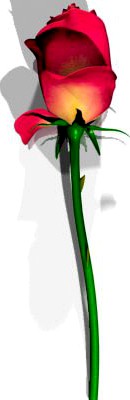 Red rose3d model