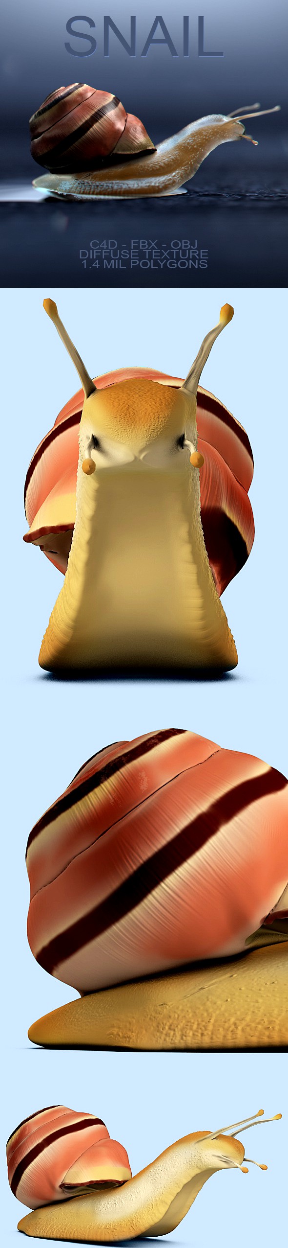 Snail High Poly Model