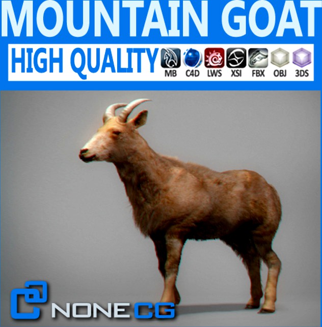 Mountain Goat