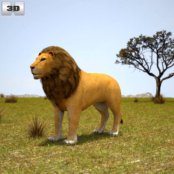 Lion3d model