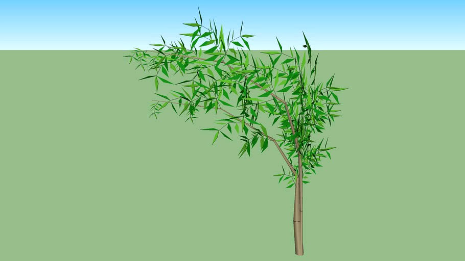 Bambu mosso