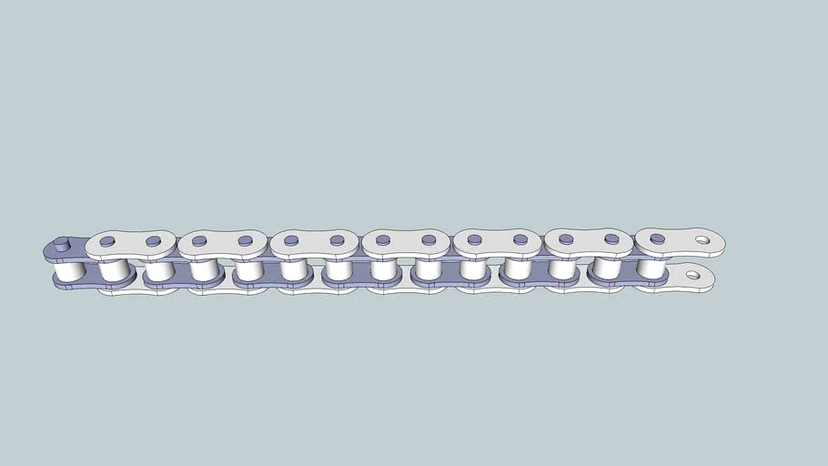 RS100 Chain