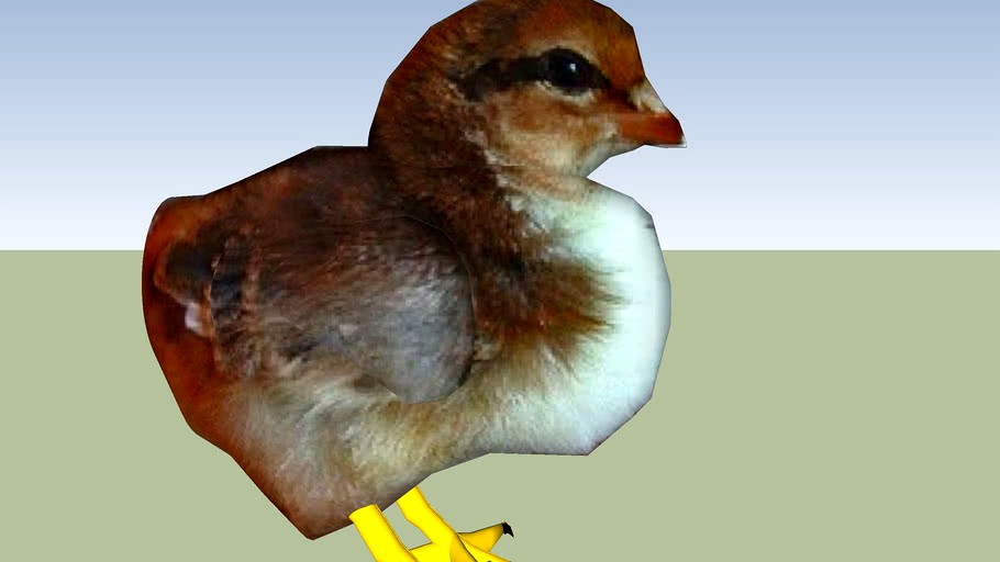 one chichen
