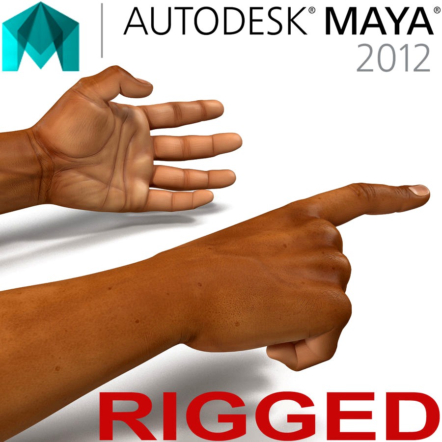 African Man Hands 2 Rigged for Maya 3D Model