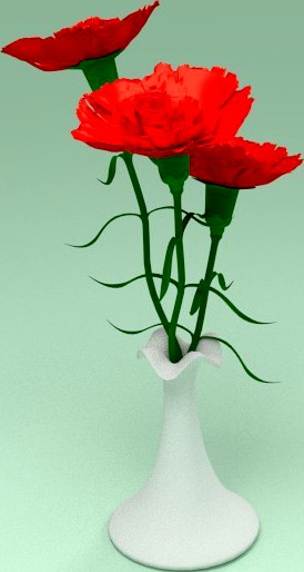 Carnation in a vase