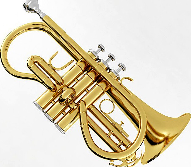 Soprano Cornet3d model