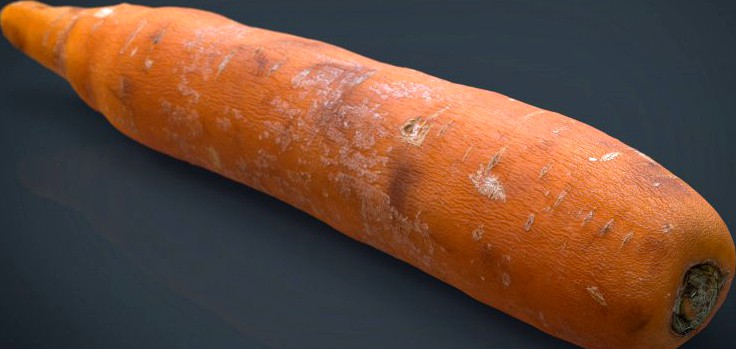 Real Carrot3d model