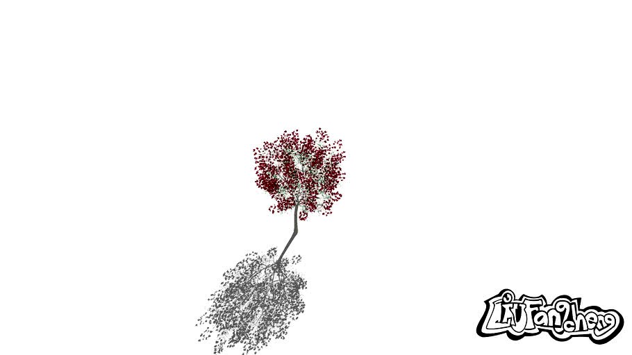 arbre