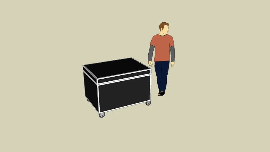 Large Flight Case