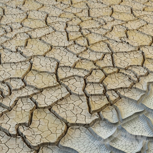 Cracked ground