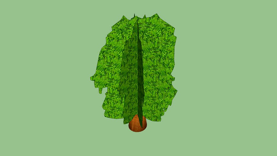 trees