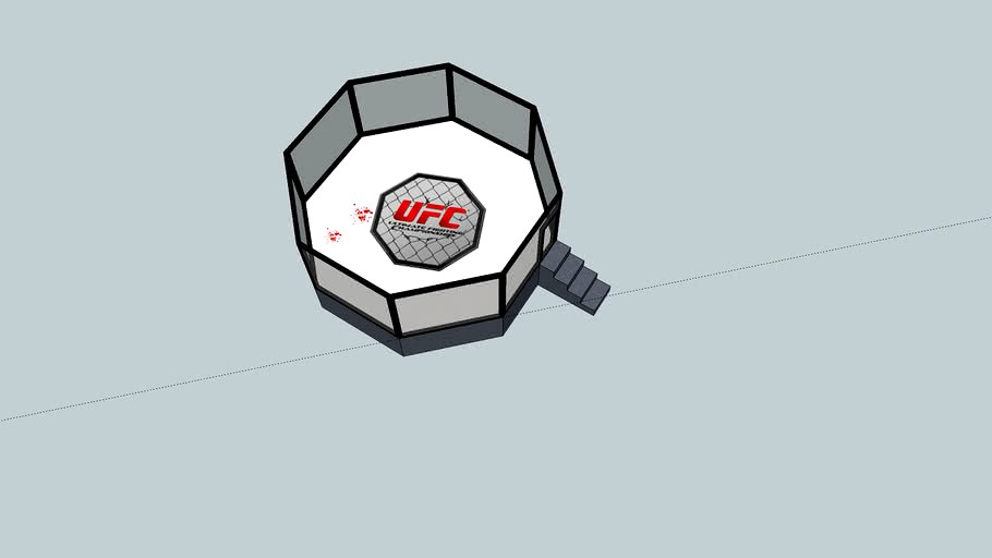 UFC Octagon