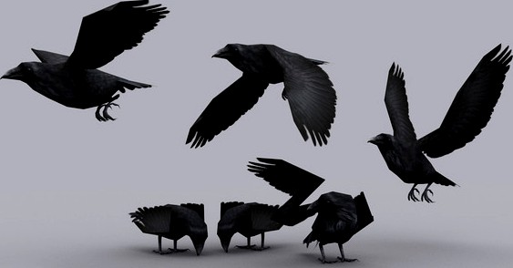 CROW fbx only
