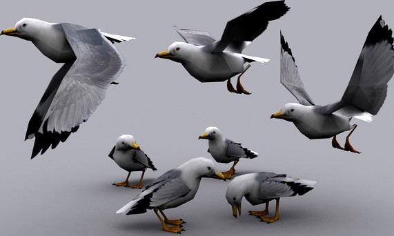 SEAGULL fbx only