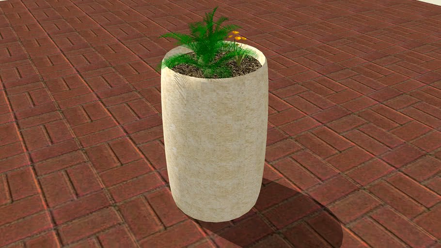 plant