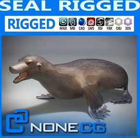 Rigged Seal