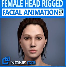 Adult Female Head Rigged