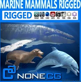 Pack - Marine Mammals