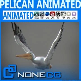Animated Pelican