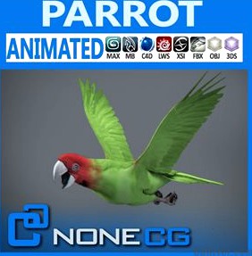 Animated Wild Parrot