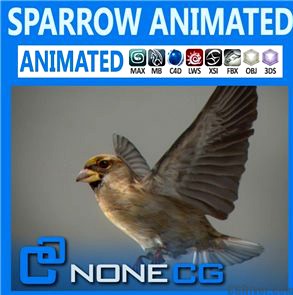 Animated Sparrow