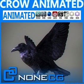 Animated Crow