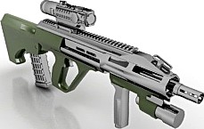 Gun
