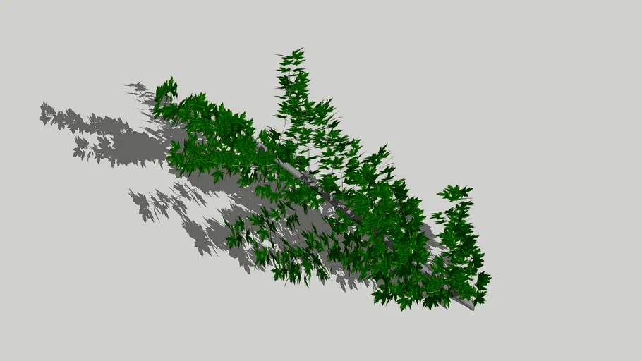 Branch Wrapper