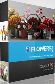 3D Model Volume 6 Flowers for Cinema 4D - CGAxis