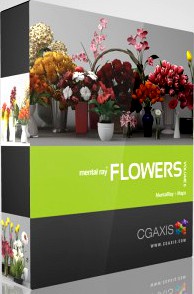 3D Model Volume 6 Flowers MentalRay