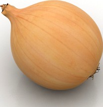 Onion