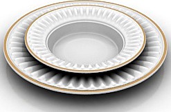 Plate