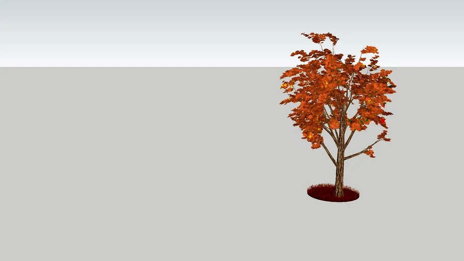 Tree CY