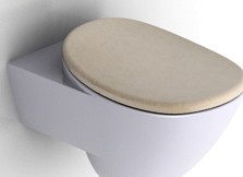Lavatory pan