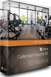 Volume 57 (FBX &amp; OBJ): 3D Gym Equipment - CGAxis 3D Models