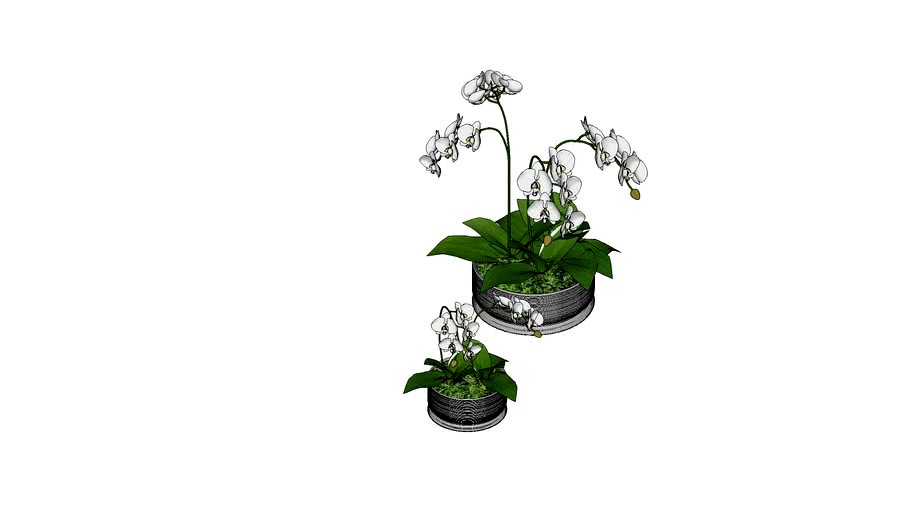 Cachepot Spin
