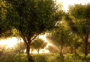 Intro to Speedtree in Cryengine