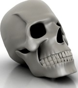 Skull