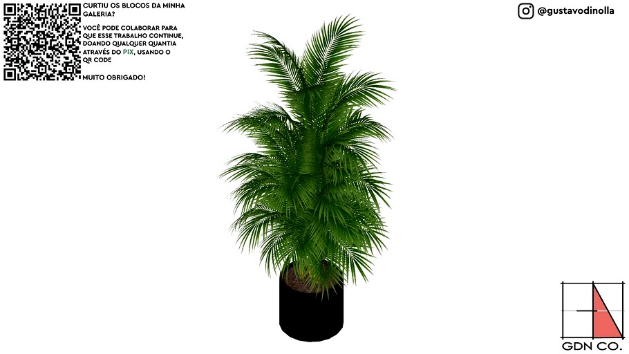 VEGETAÇÃO, PLANTA, COQUEIRO, PALMEIRA
