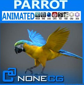 Animated Parrot