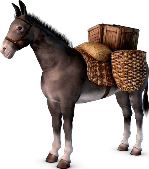 Loaded Donkey3d model