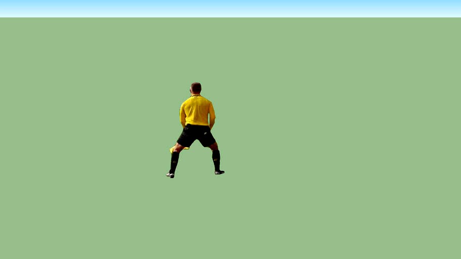 Assistant referee