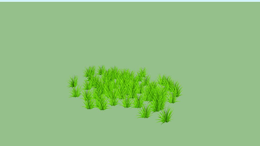vegitable plants