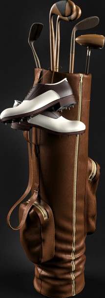 Golf bag