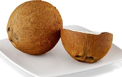 Coconuts - 3D Model