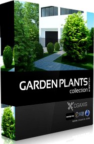 3D Model Volume 19 Garden Plants - CGAxis
