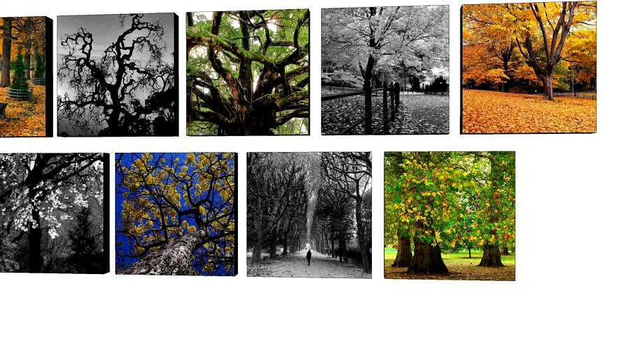 Coleção Trees - Quadros Dorival Moreira