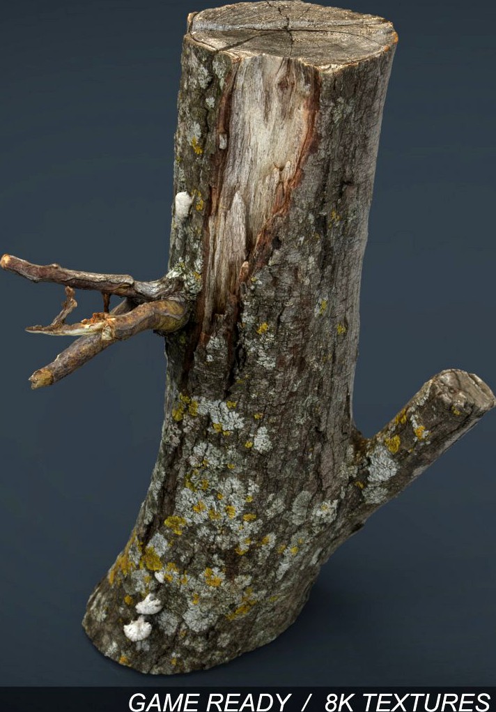 Wood Log 33d model