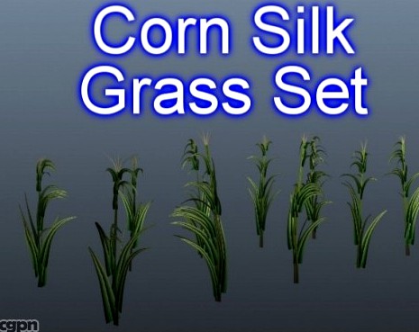 Corn Silk Grass Set 0013d model